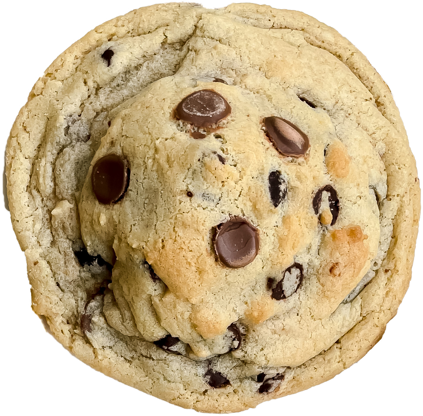 Brookie