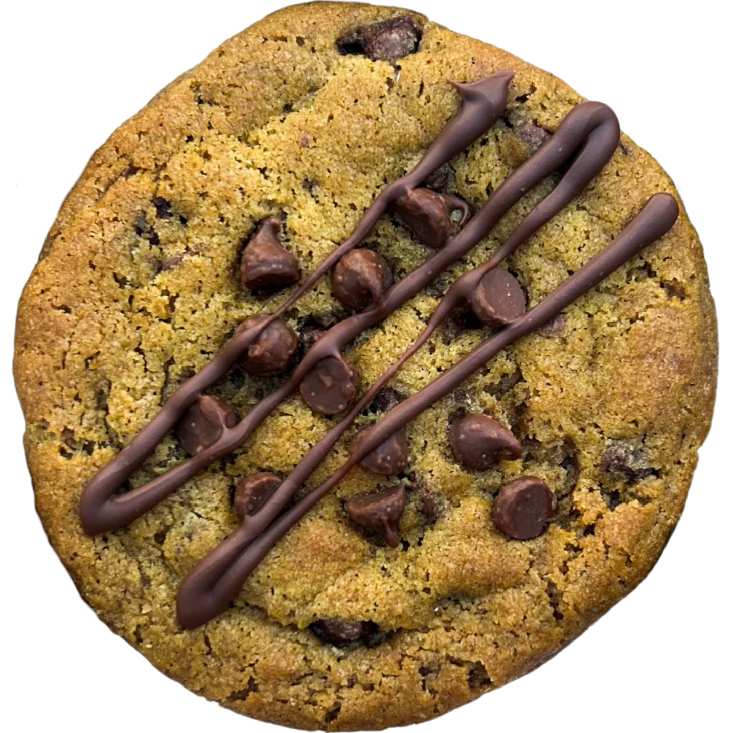 Pumpkin chocolate chip